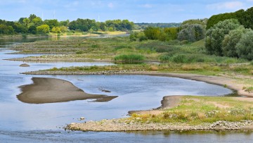 Blick von der Stadtbrücke, dem deutsch-polnischen Grenzübergang, auf Buhnen und Sandbänke, die weit aus dem niedrigen Wasser des Flusses Oder herausschauen. Der Fluss Oder hatte am 19.08.2026 in Frankfurt (Oder) einen Niedrigrekord geknackt. Der Wassersta