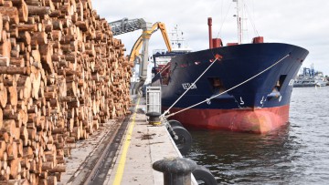 Der Umschlag von Holz sorgt für eine robuste Grundauslastung des zweitgrößten Hafens an der Warnow