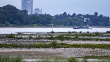 Ein Frachtschiff fährt auf dem Rhein bei Bonn. Der Rhein führt wegen des trockenen Sommerwetters Niedrigwasser. Im Hintergrund ist der Posttower und der Lange Eugen (früheres Abgeordneten-Hochhauses) zu sehen.