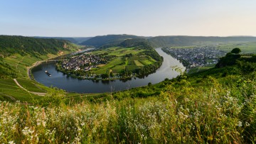 Die Moselschleife Kröv in Rheinland-Pfalz im Sommer, Panorama-Ausblick aus der Natur auf den Fluss mit Schiff 