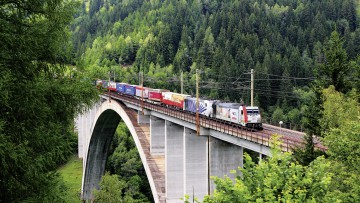 Güterzug auf einer Brücke über Wald