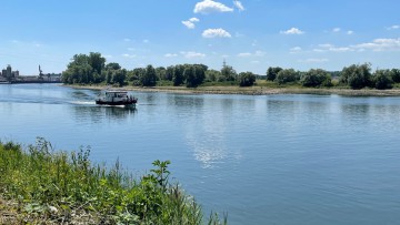 Die "Sigma" fährt auf der Donau durch die Auen.