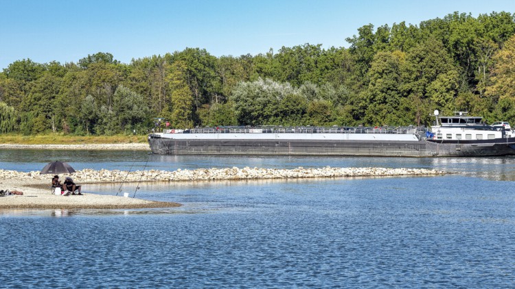 Niedrigwasser am Rhein belastet Schifffahrt und Lieferketten weiter