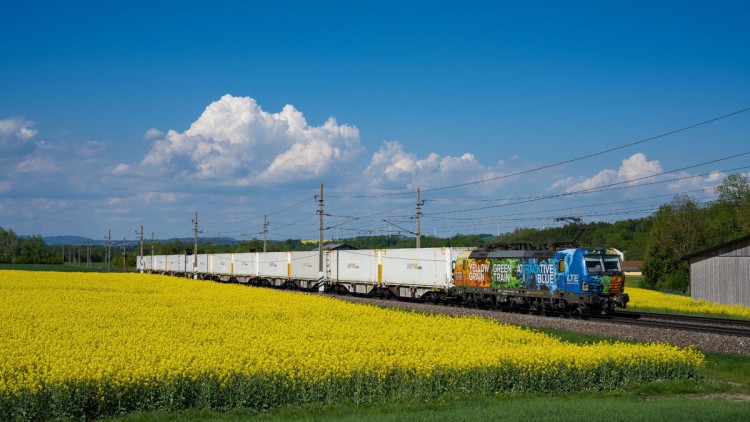Schine, LTE, Cargo