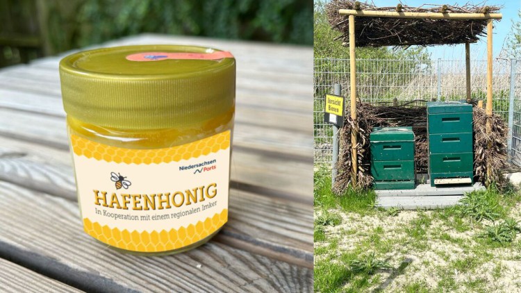 Nachhaltigkeitsprojekt „Honey Bee“im Hafen Bensersiel