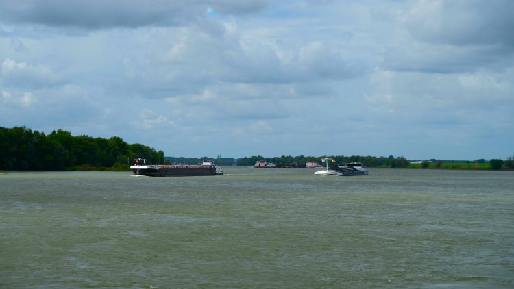 Binnenschiffe auf dem Rhein