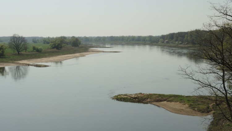 Blick auf die Elbe mit Niedrigwasser