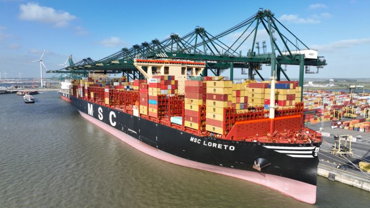 Die MSC Loreto im Hafen Antwerpen