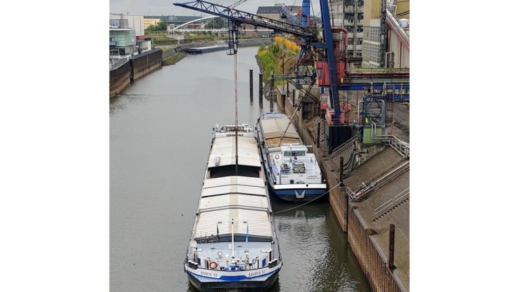 Rapsumschlag in Neusser Hafen