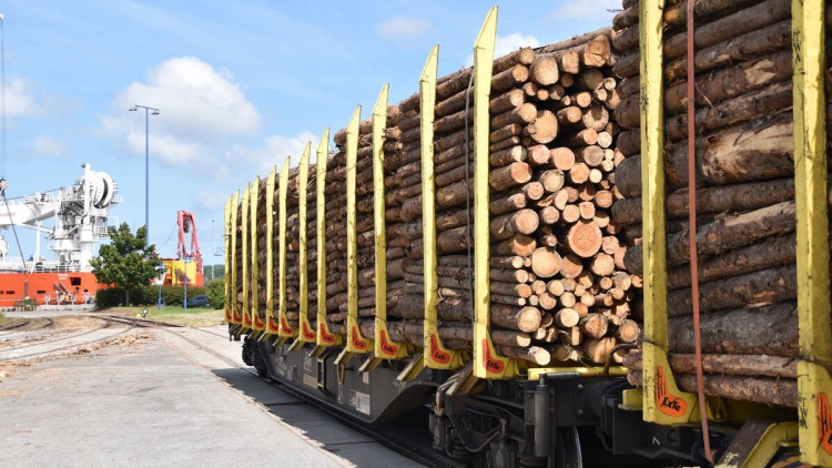 Rostocker Fracht- und Fischereihafen: Holzumschlag