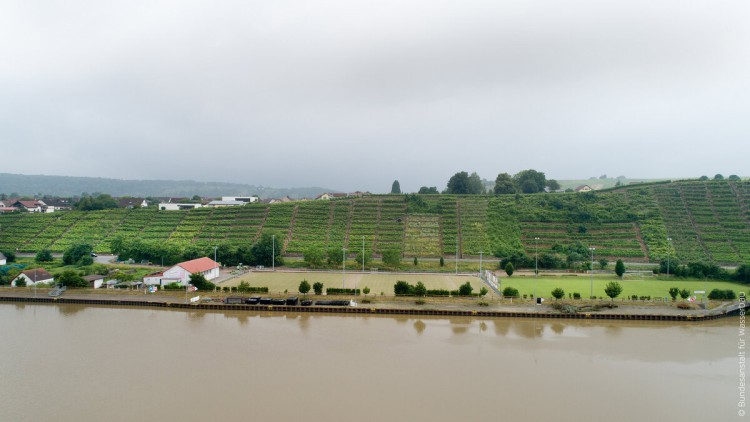 Güterschiff verliert Öl auf Neckar Güterschiff verliert Öl auf Neckar