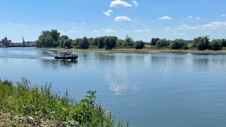 Die "Sigma" fährt auf der Donau durch die Auen.